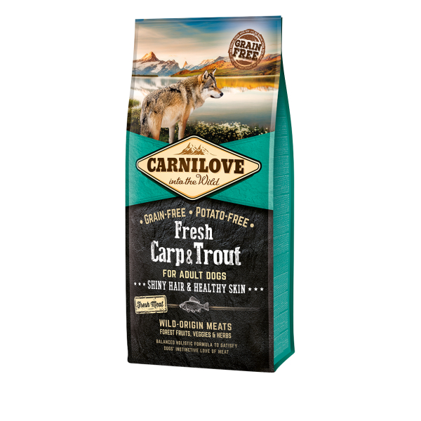 3D carp trout 12kg 01