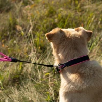 ΕΞΟ-122-101-00588-3