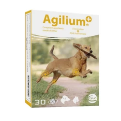 ΥΓΕ-122-101-00083