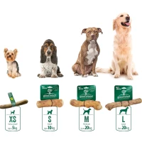 ΠΑΙ-122-101-00086-2