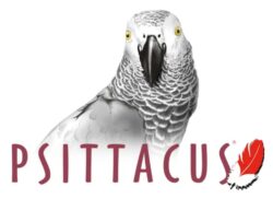 PSITTACUS