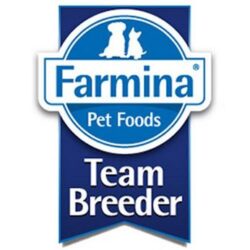 TEAM BREEDER
