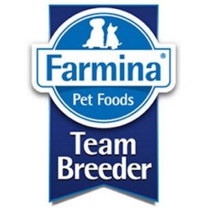 TEAM BREEDER