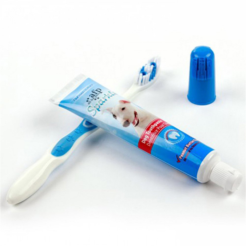 20230818144337 113ae263 20230818144337 113ae263