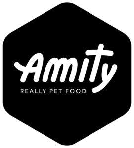 LOGO AMITY