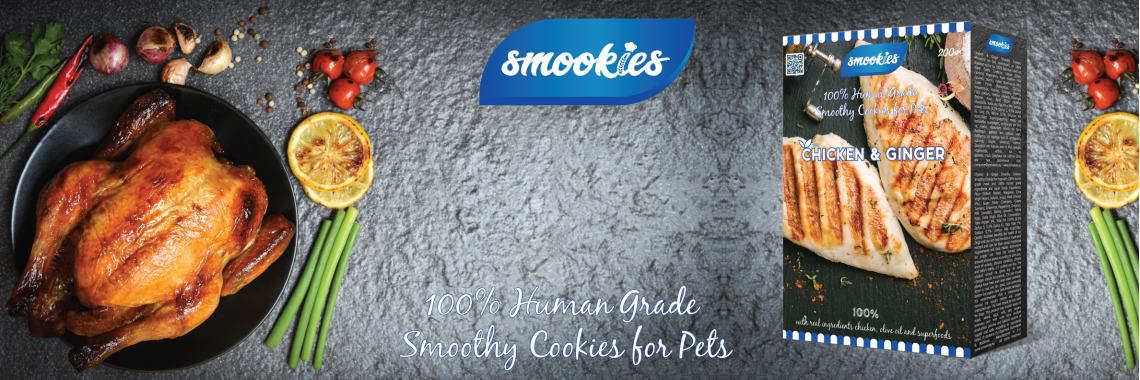 Promo 1 01 1140x380 Promo 1 01 1140x380