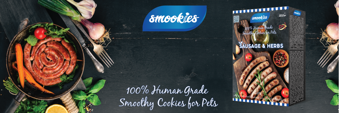 Promo 1 04 01 01 01 1140x380 Promo 1 04 01 01 01 1140x380