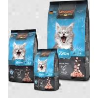 RS4458 bl kitten tf composing hpr