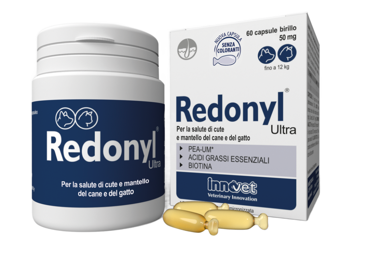 Στιγμιότυπο οθόνης 2025 10 01 130508 (1) Στιγμιότυπο οθόνης 2025 10 01 130508 (1)