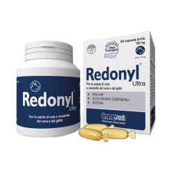 Στιγμιότυπο οθόνης 2025 10 01 130508 Στιγμιότυπο οθόνης 2025 10 01 130508