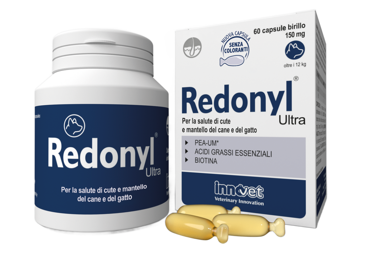 Στιγμιότυπο οθόνης 2025 10 01 130508 Στιγμιότυπο οθόνης 2025 10 01 130508