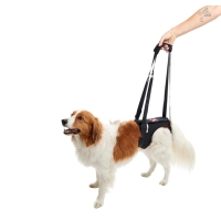 Kruuse Σαμαράκι Αναπηρικό Αποθεραπείας