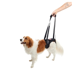 Kruuse Σαμαράκι Αναπηρικό Αποθεραπείας Kruuse Σαμαράκι Αναπηρικό Αποθεραπείας