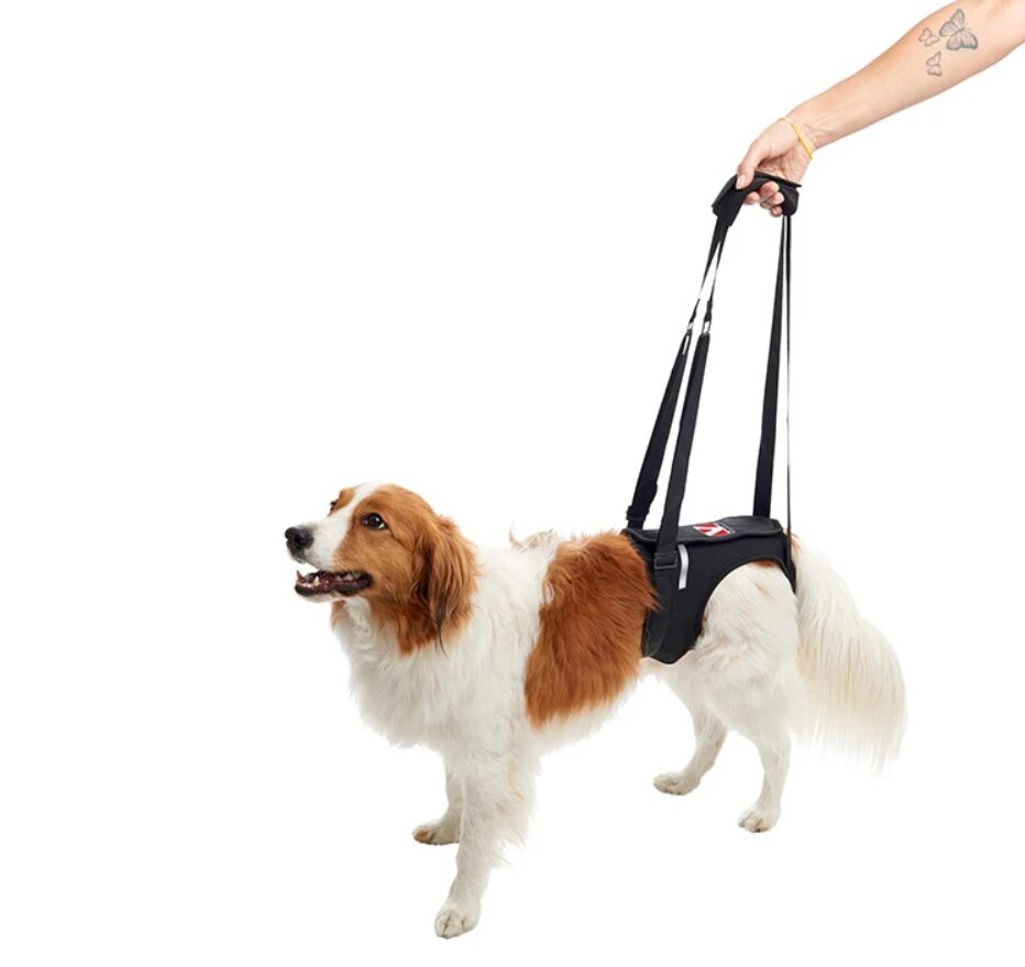 Kruuse Σαμαράκι Αναπηρικό Αποθεραπείας Kruuse Σαμαράκι Αναπηρικό Αποθεραπείας