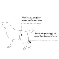 Kruuse Σαμαράκι Αναπηρικό Οπίσθιων Άκρων