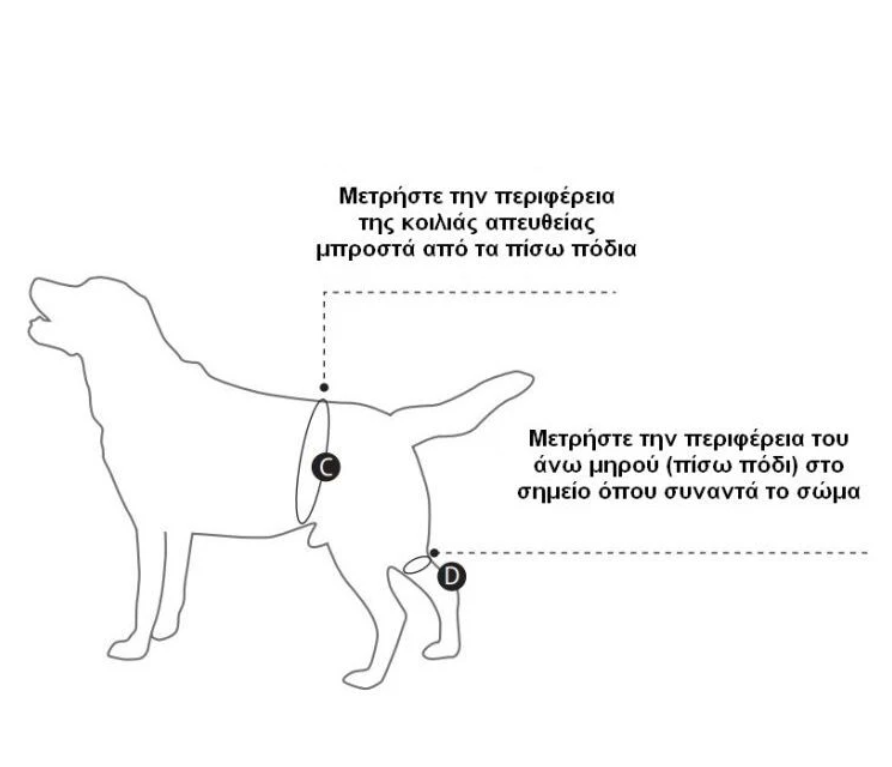 Kruuse Σαμαράκι Αναπηρικό Οπίσθιων Άκρων Kruuse Σαμαράκι Αναπηρικό Οπίσθιων Άκρων