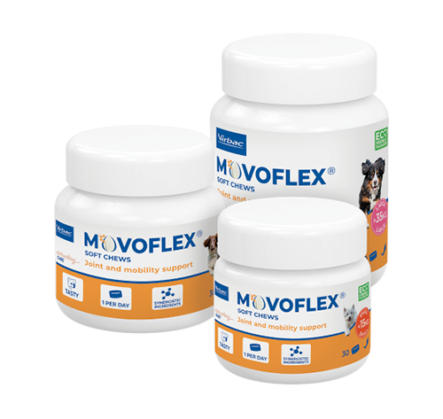 Movoflex packshot 500px Movoflex packshot 500px