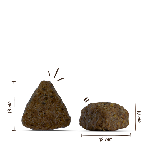 bosch hpc adult lamm reis krokettenbilder n bosch hpc adult lamm reis krokettenbilder n