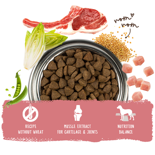 bosch hpc adult lamm reis napf en bosch hpc adult lamm reis napf en