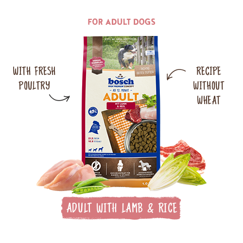 bosch hpc adult lamm reis produkt en bosch hpc adult lamm reis produkt en