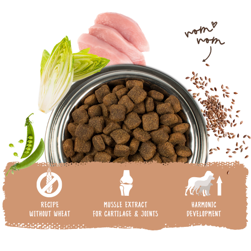 bosch hpc maxi adult napf en bosch hpc maxi adult napf en