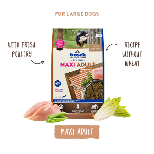 bosch hpc maxi adult produkt en bosch hpc maxi adult produkt en