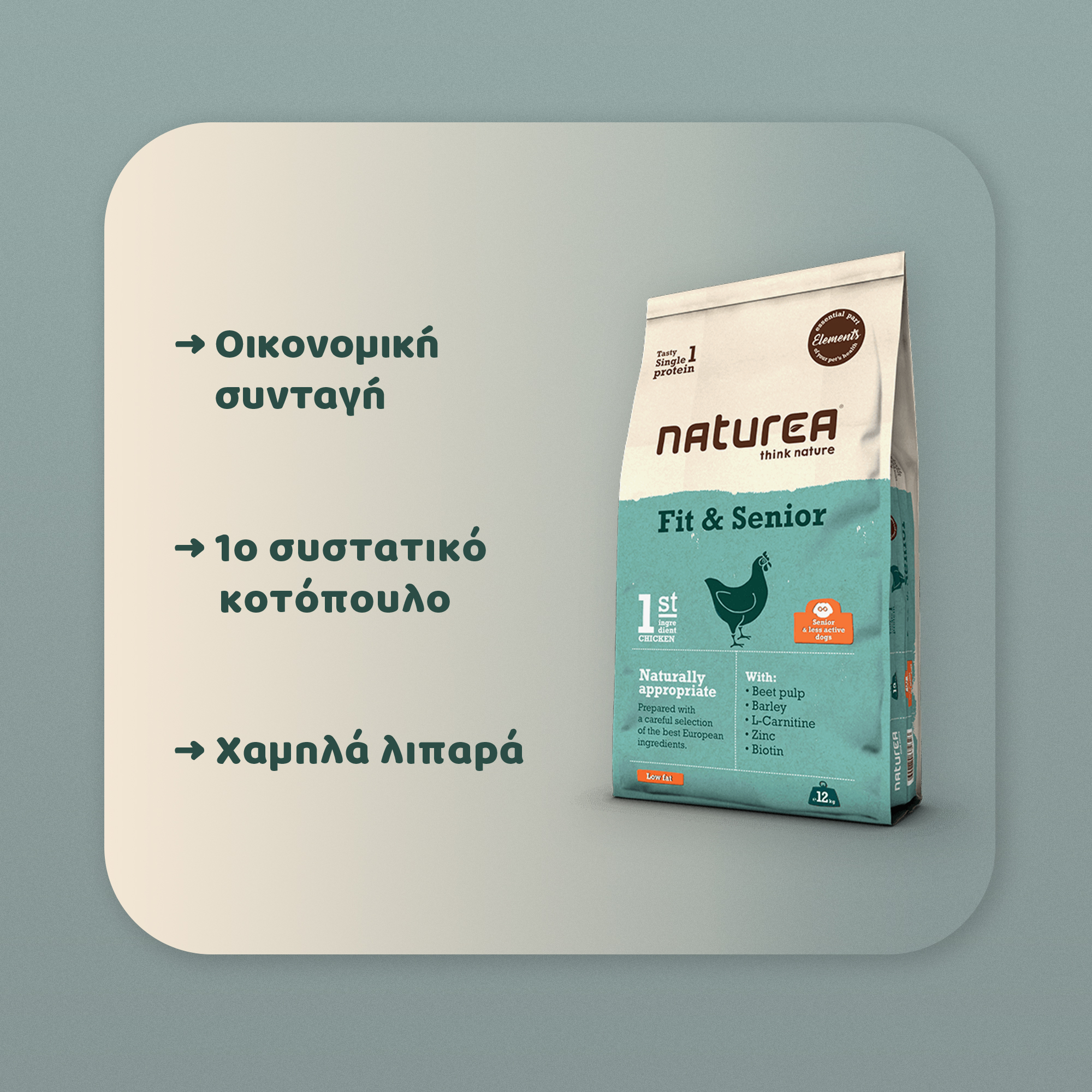 elements senior elements senior