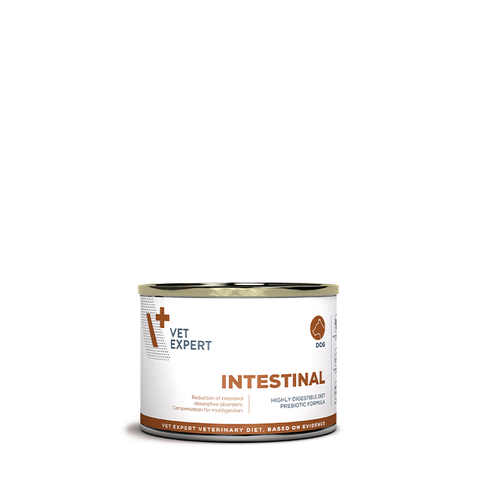 vet expert diet Intestinal dog can 200 vet expert diet Intestinal dog can 200