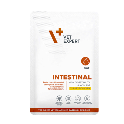 vet expert intestinal cat chic turk vet expert intestinal cat chic turk