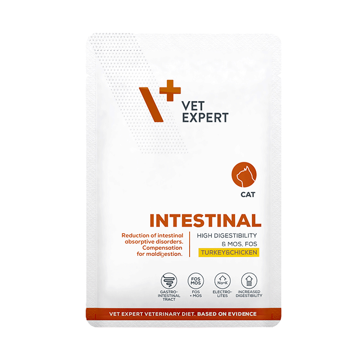 vet expert intestinal cat chic turk vet expert intestinal cat chic turk