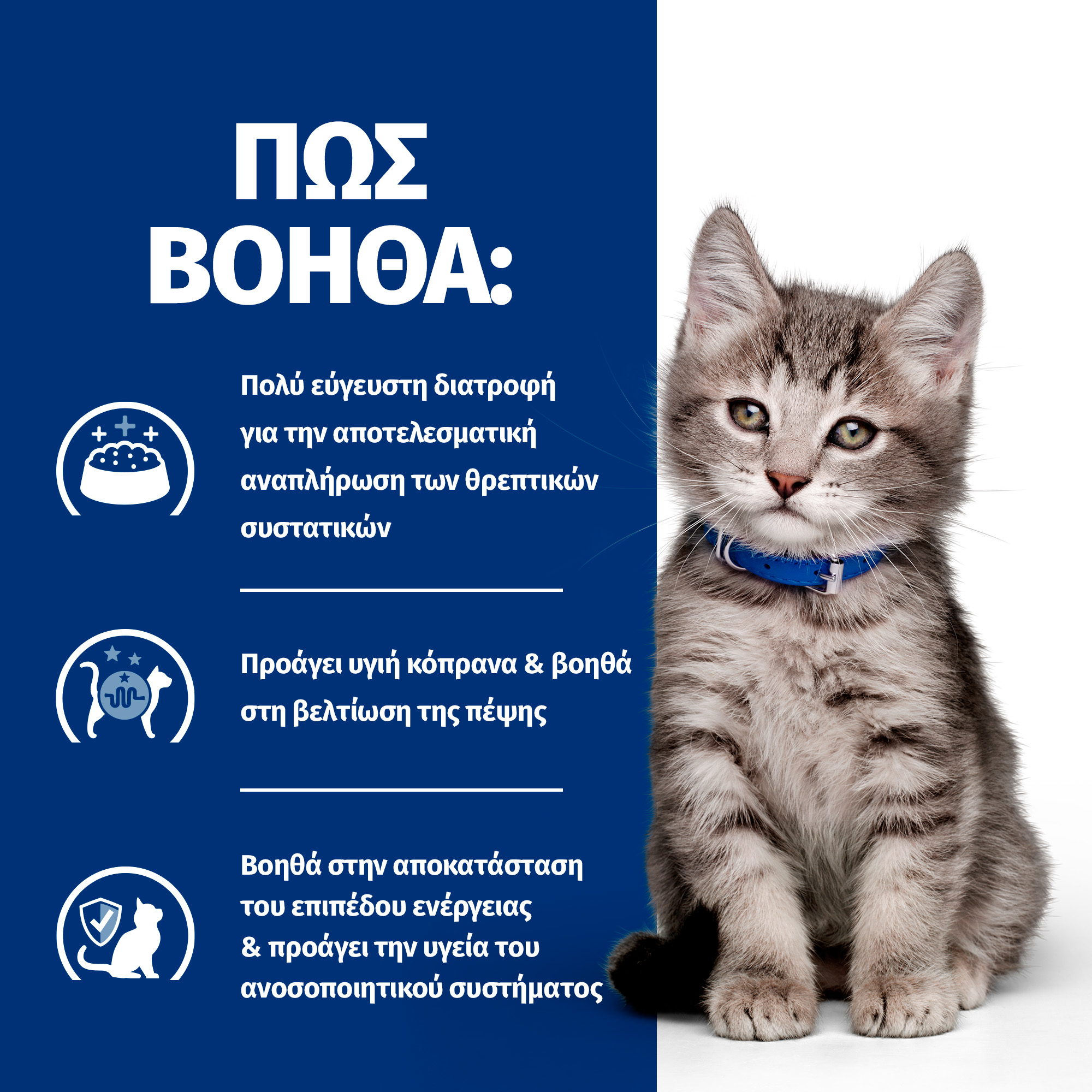 55041185 3 55041185 3