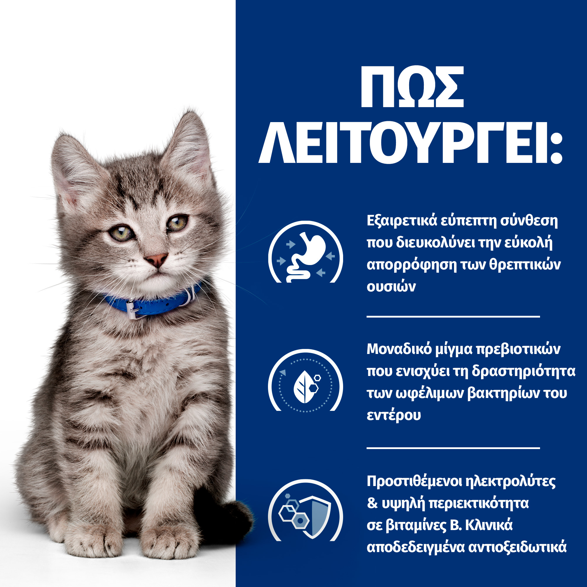 55041185 4 55041185 4