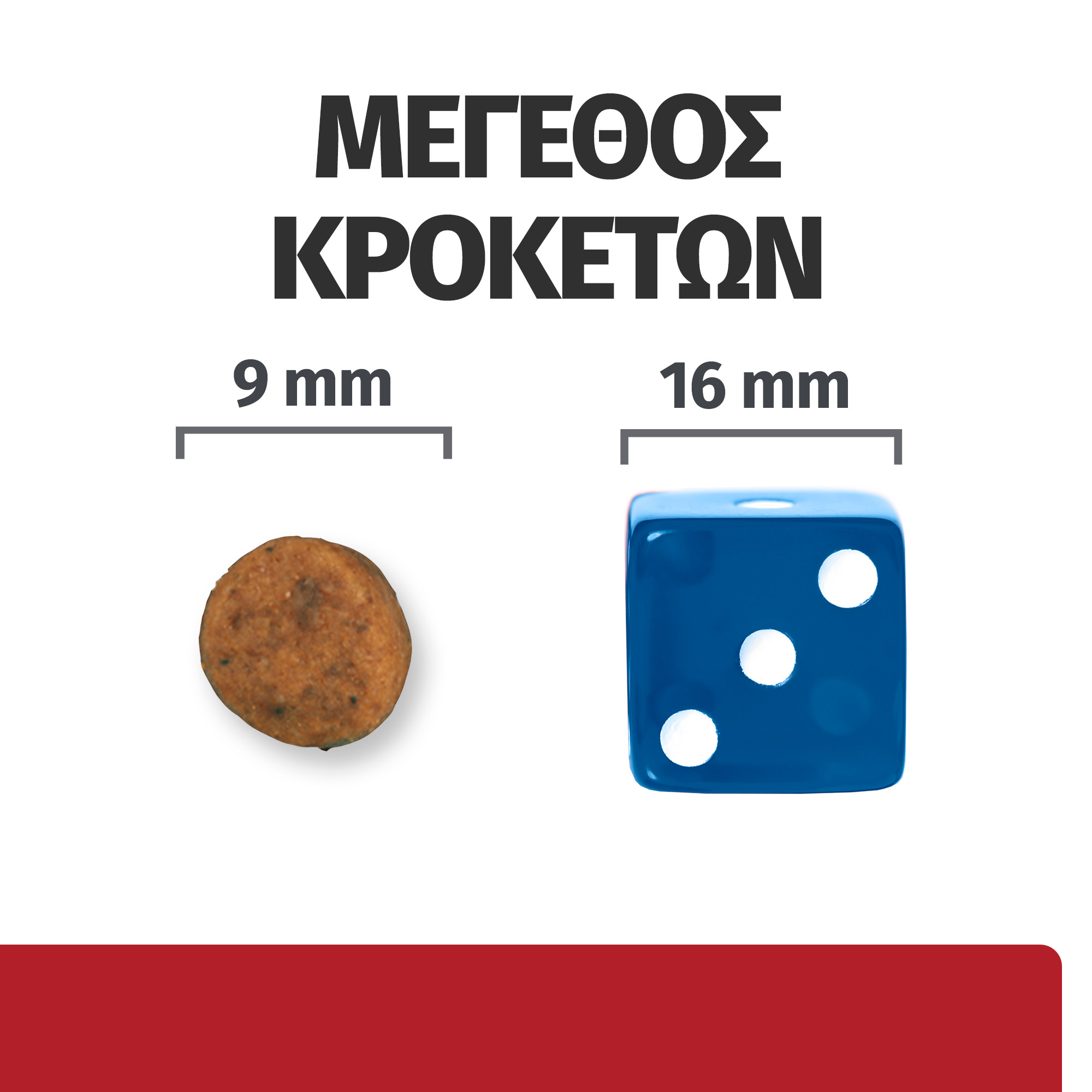 55041185 6 55041185 6