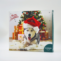 Advent Calendar PQP2