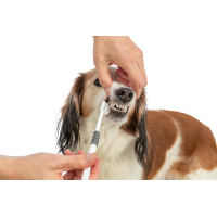 PHO PRO USE CLIP 25622 2 #SALL #AWK #V1