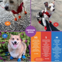 Στιγμιότυπο οθόνης 2026 01 12 205417