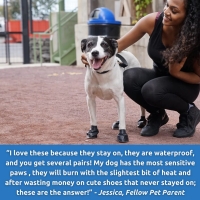 Στιγμιότυπο οθόνης 2026 01 13 193706