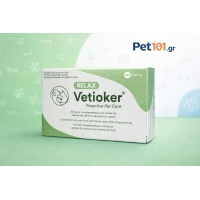 ChatGPT Image 25 Φεβ 2026, 02 44 34 μ.μ.