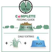 CompleteChinchillaDegutabel