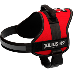 PHO PRO CLIP 150303 3 #SALL #AWK #V1 PHO PRO CLIP 150303 3 #SALL #AWK #V1