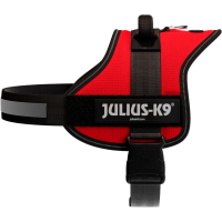 PHO PRO CLIP 150303 4 #SALL #AWK #V1