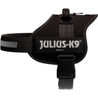 PHO PRO CLIP 150401 5 #SALL #AWK #V1