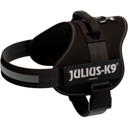 PHO PRO CLIP 150501 3 #SALL #AWK #V1