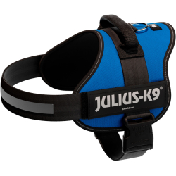 PHO PRO CLIP 150502 3 #SALL #AWK #V1