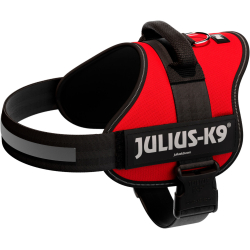 PHO PRO CLIP 150503 3 #SALL #AWK #V1