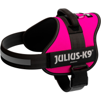 PHO PRO CLIP 150508 3 #SALL #AWK #V1