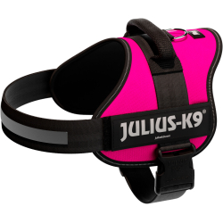 PHO PRO CLIP 150508 3 #SALL #AWK #V1