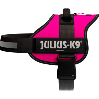 PHO PRO CLIP 150508 4 #SALL #AWK #V1