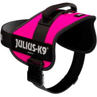 PHO PRO CLIP 150508 5 #SALL #AWK #V1