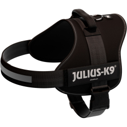 PHO PRO CLIP 150601 4 #SALL #AWK #V1 PHO PRO CLIP 150601 4 #SALL #AWK #V1